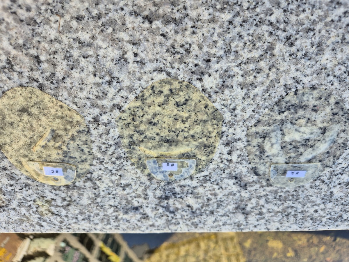 7e32bedec8a02ddff82412e2541848bd_1762493594_4087.jpg 7e32bedec8a02ddff82412e2541848bd_1762493594_4087.jpg