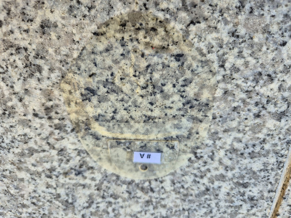 7e32bedec8a02ddff82412e2541848bd_1762493597_6604.jpg 7e32bedec8a02ddff82412e2541848bd_1762493597_6604.jpg